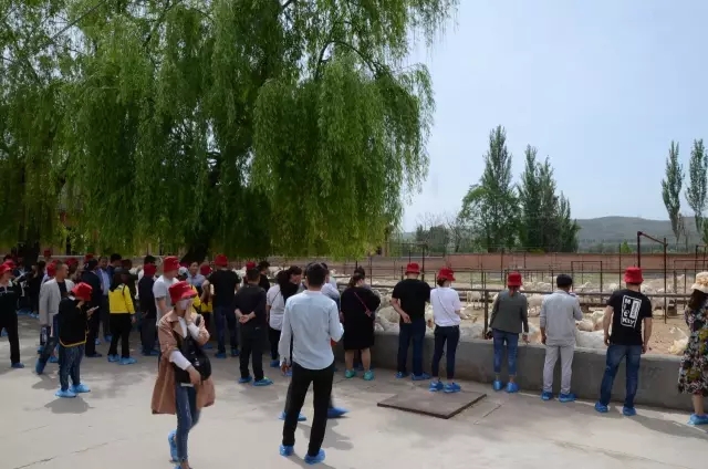 龙8头号玩家(国际)官方网站