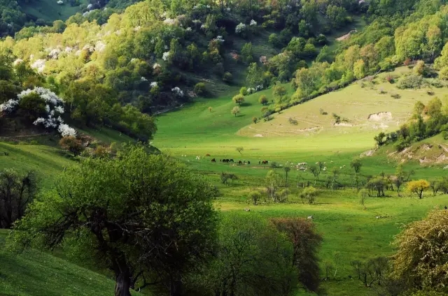 龙8头号玩家(国际)官方网站
