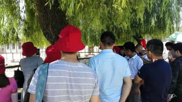 龙8头号玩家(国际)官方网站