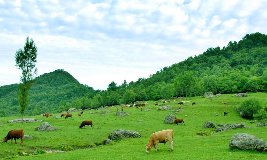 龙8头号玩家(国际)官方网站