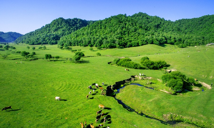 龙8头号玩家(国际)官方网站