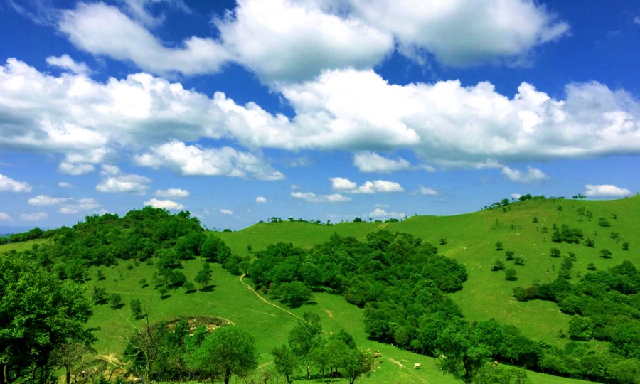 龙8头号玩家(国际)官方网站