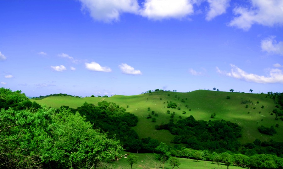 龙8头号玩家(国际)官方网站