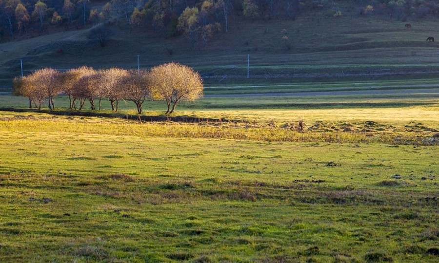 龙8头号玩家(国际)官方网站