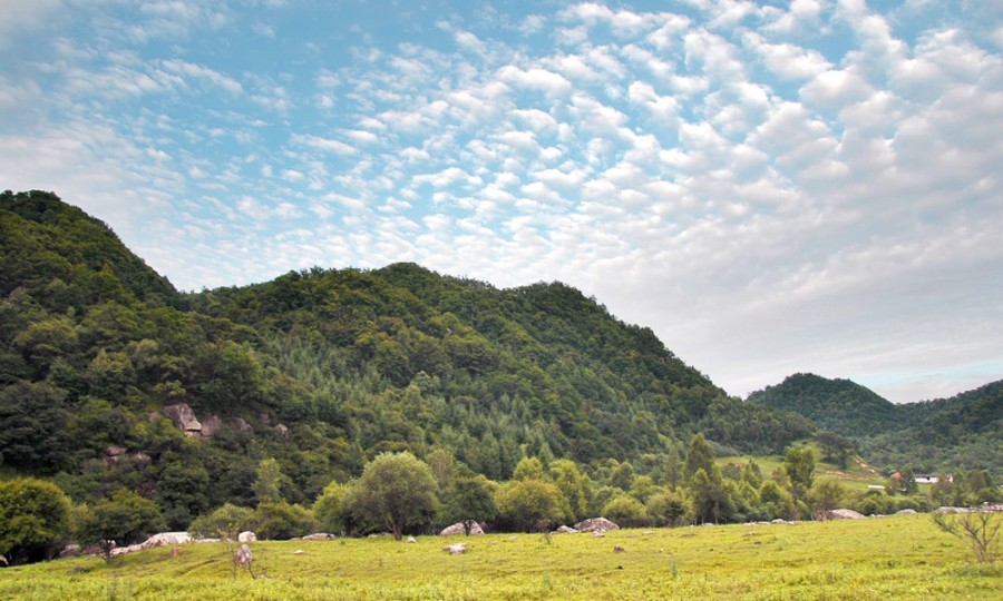 龙8头号玩家(国际)官方网站