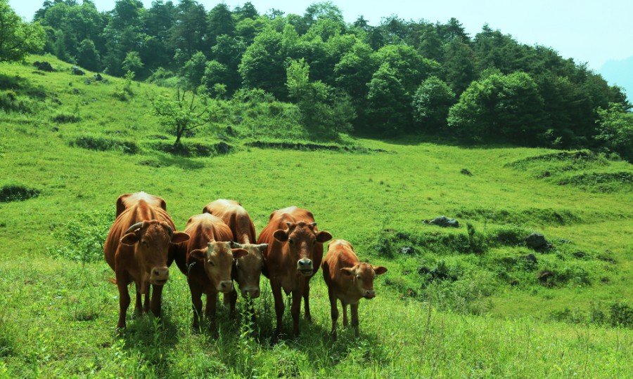 龙8头号玩家(国际)官方网站