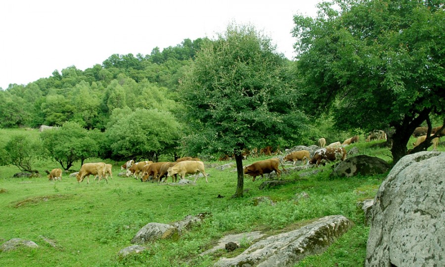 龙8头号玩家(国际)官方网站