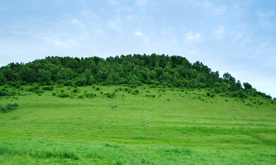 龙8头号玩家(国际)官方网站