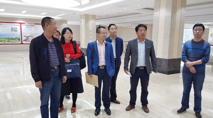 龙8头号玩家(国际)官方网站