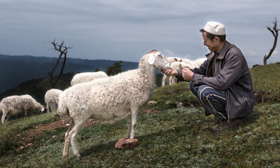 龙8头号玩家(国际)官方网站