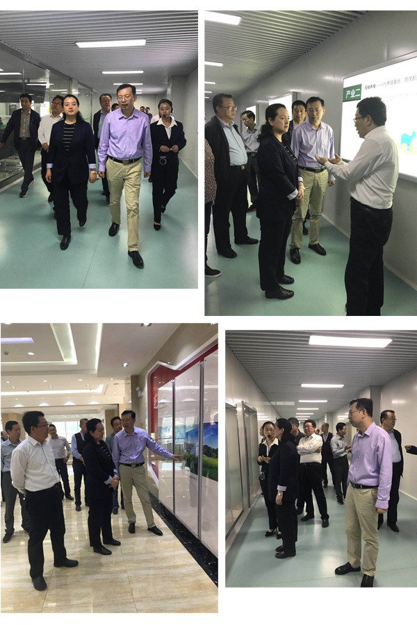 龙8头号玩家(国际)官方网站