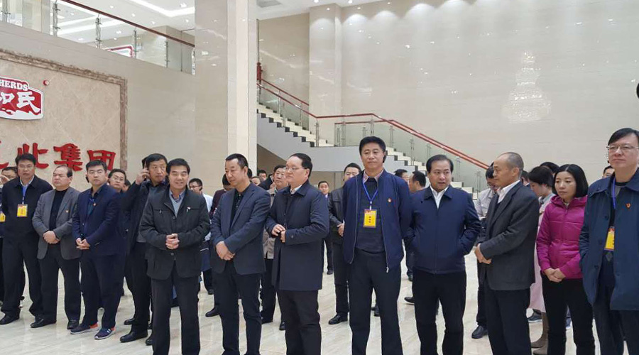 龙8头号玩家(国际)官方网站