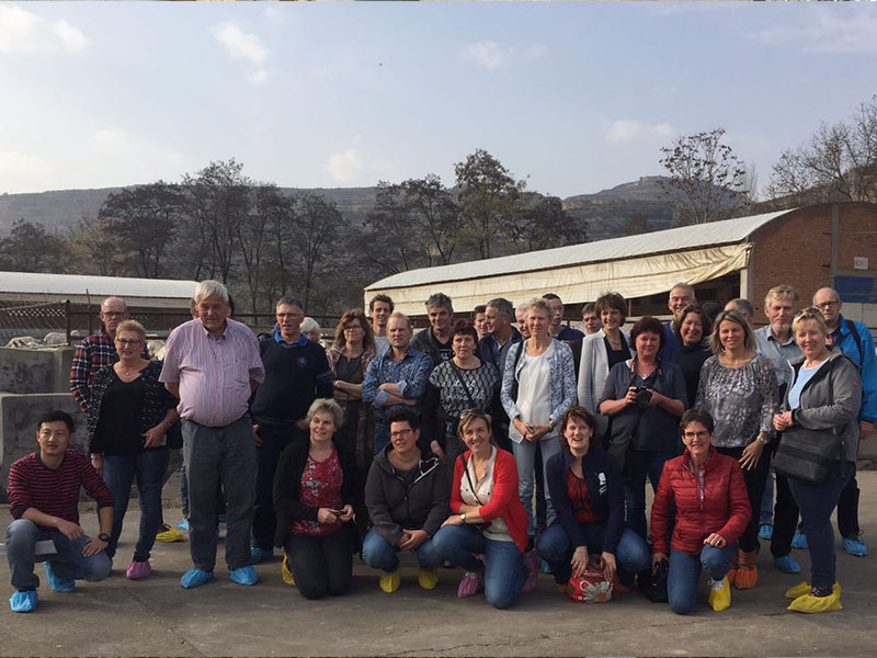 龙8头号玩家(国际)官方网站