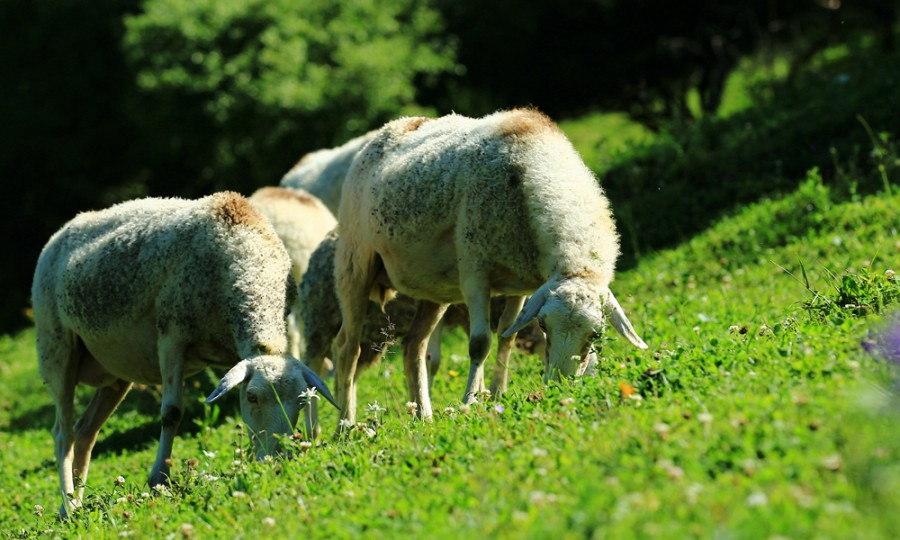 龙8头号玩家(国际)官方网站
