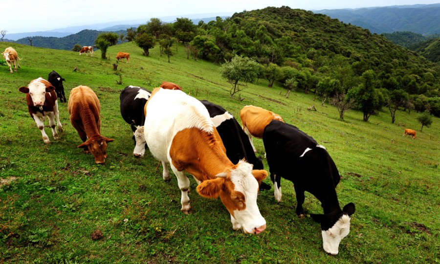 龙8头号玩家(国际)官方网站