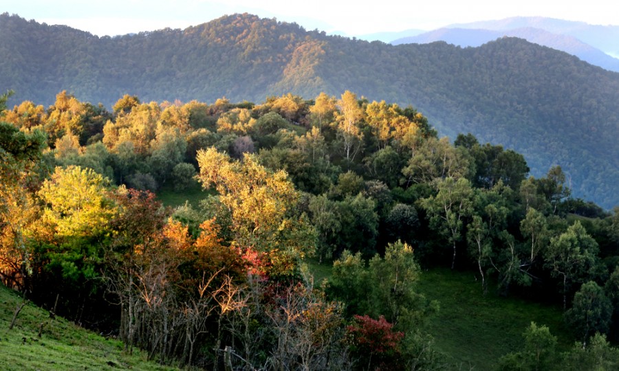 龙8头号玩家(国际)官方网站