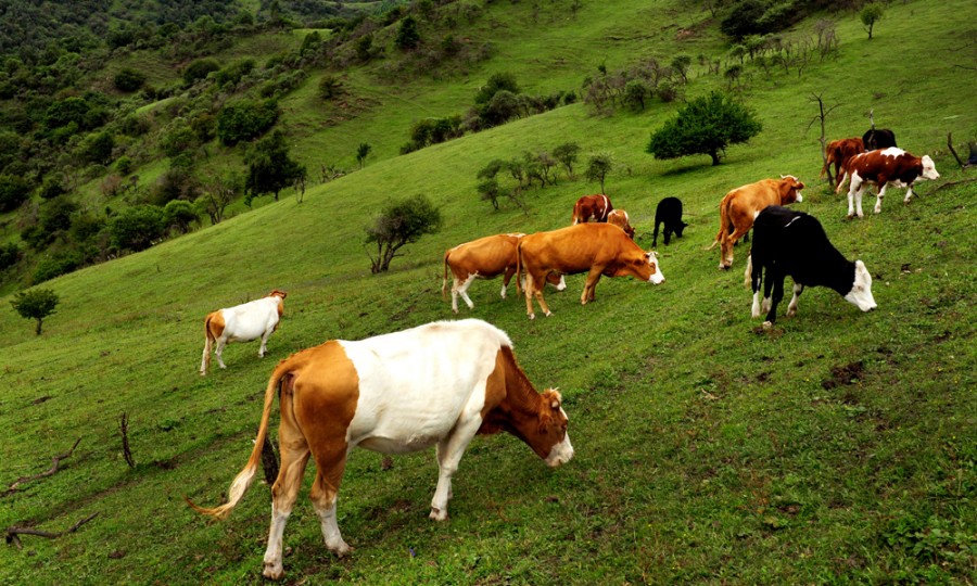 龙8头号玩家(国际)官方网站