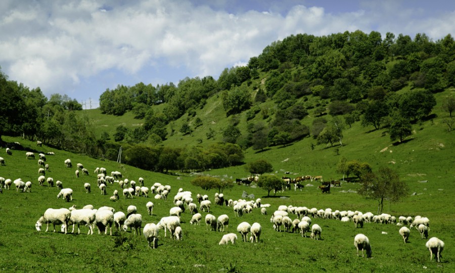 龙8头号玩家(国际)官方网站