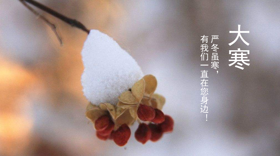 龙8头号玩家(国际)官方网站