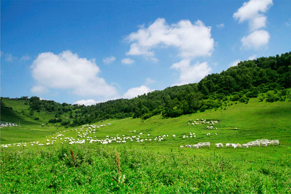 龙8头号玩家(国际)官方网站