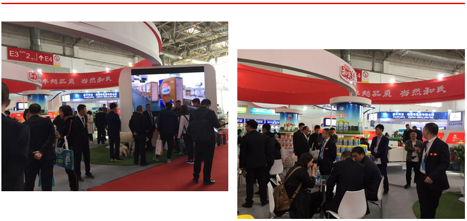 龙8头号玩家(国际)官方网站