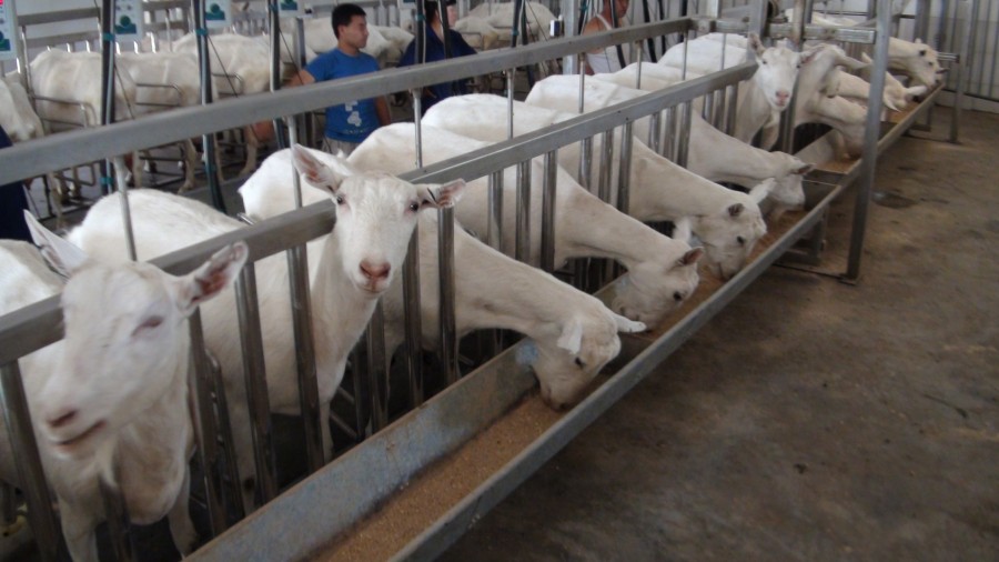 龙8头号玩家(国际)官方网站