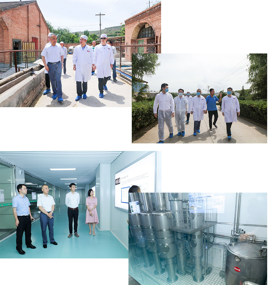 龙8头号玩家(国际)官方网站