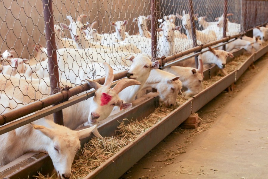 龙8头号玩家(国际)官方网站