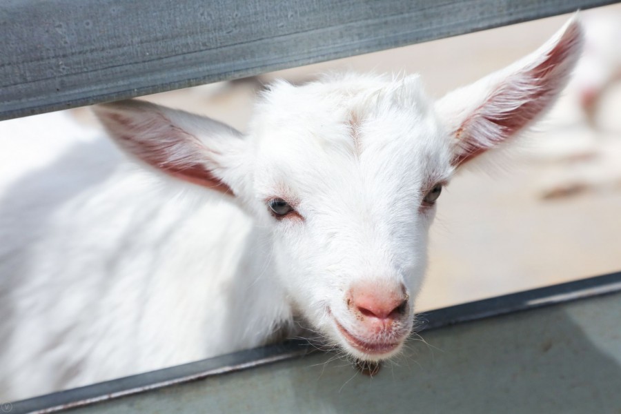 龙8头号玩家(国际)官方网站