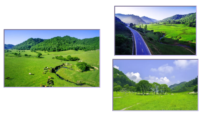 龙8头号玩家(国际)官方网站