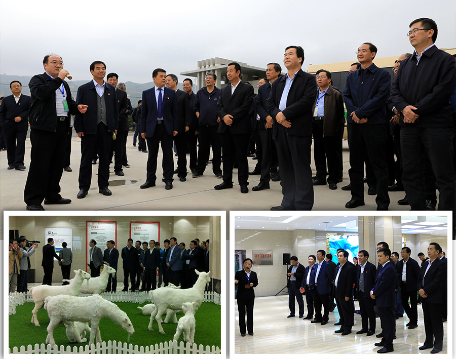 龙8头号玩家(国际)官方网站