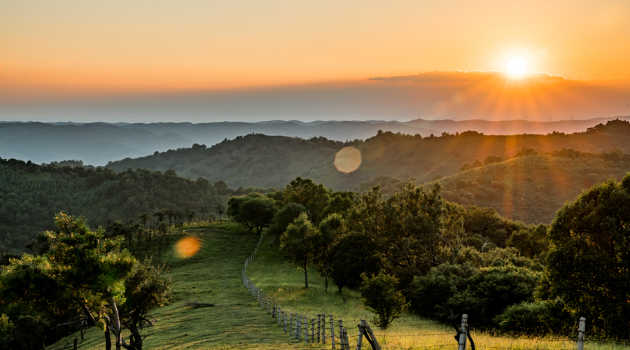 龙8头号玩家(国际)官方网站