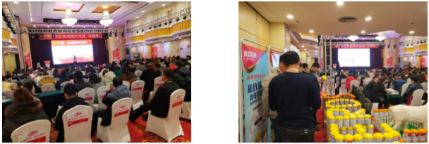 龙8头号玩家(国际)官方网站