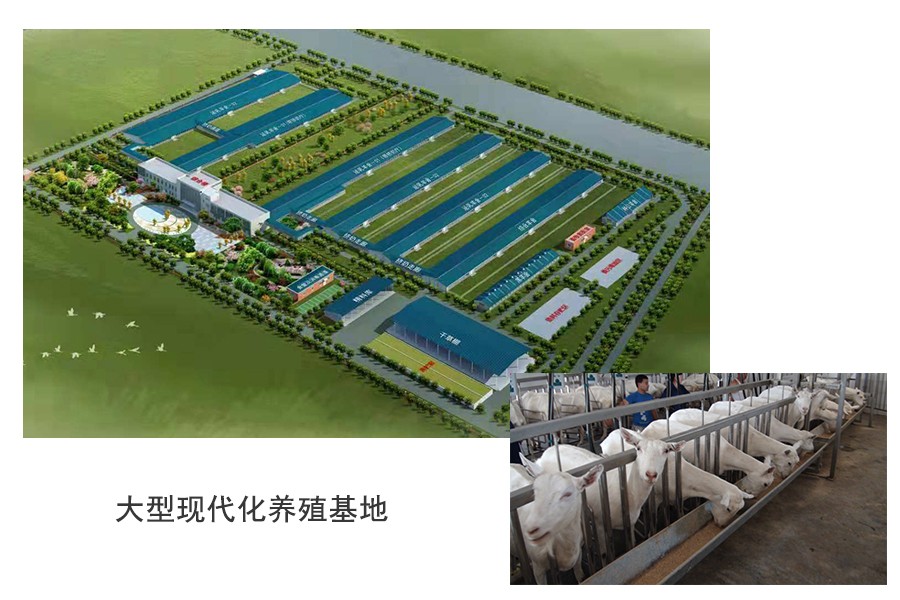 龙8头号玩家(国际)官方网站