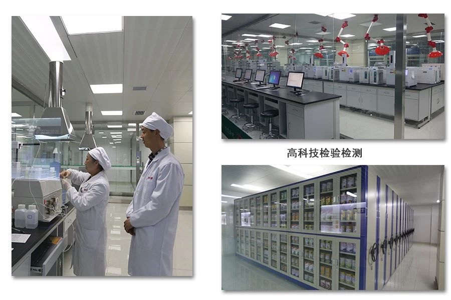 龙8头号玩家(国际)官方网站