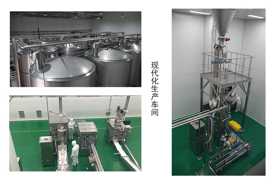 龙8头号玩家(国际)官方网站
