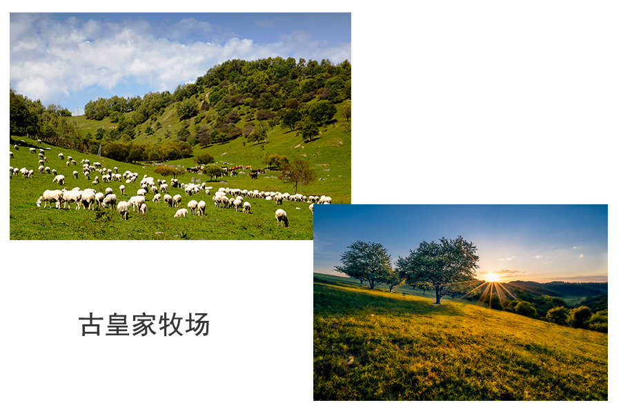 龙8头号玩家(国际)官方网站