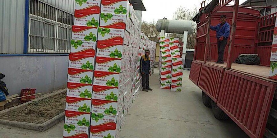 龙8头号玩家(国际)官方网站