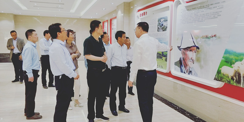 龙8头号玩家(国际)官方网站