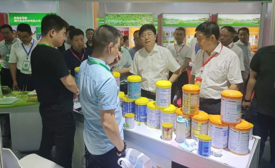 龙8头号玩家(国际)官方网站