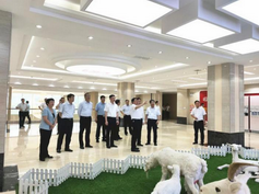 龙8头号玩家(国际)官方网站