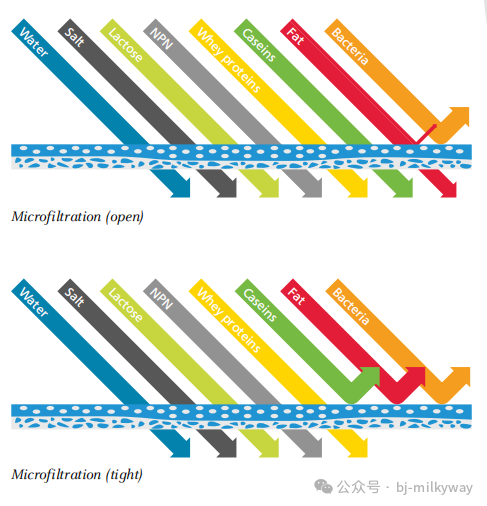 龙8头号玩家(国际)官方网站