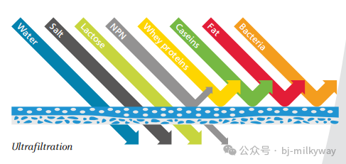 龙8头号玩家(国际)官方网站