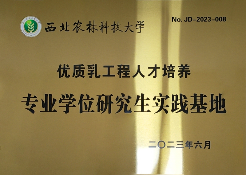 20240927110816_88470