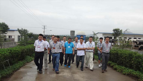 龙8头号玩家(国际)官方网站