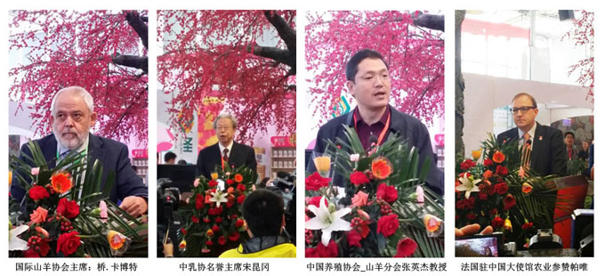 龙8头号玩家(国际)官方网站