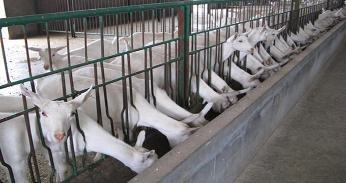 龙8头号玩家(国际)官方网站