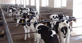 龙8头号玩家(国际)官方网站