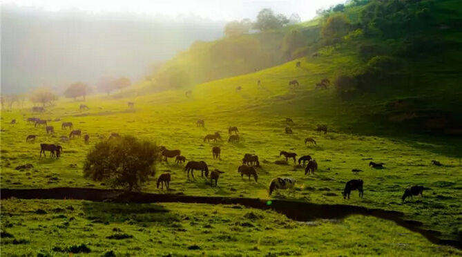 龙8头号玩家(国际)官方网站