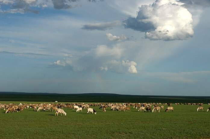 龙8头号玩家(国际)官方网站